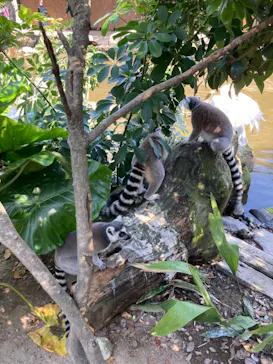 神戸どうぶつ王国に投稿された画像（2021/10/4）