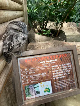 神戸どうぶつ王国に投稿された画像（2021/10/4）