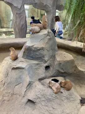 神戸どうぶつ王国に投稿された画像（2021/10/4）