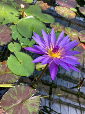 神戸どうぶつ王国に投稿された画像（2021/10/4）