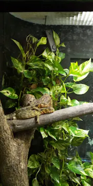 天王寺動物園に投稿された画像（2021/10/4）