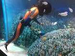 サンシャイン水族館に投稿された画像（2021/10/4）