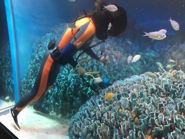 サンシャイン水族館に投稿された画像（2021/10/4）