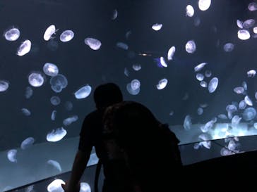 サンシャイン水族館に投稿された画像（2021/10/4）