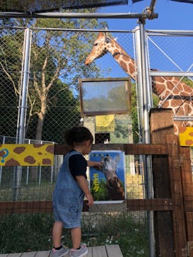 しろとり動物園に投稿された画像（2021/10/4）