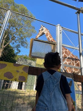 しろとり動物園に投稿された画像（2021/10/4）