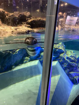 すみだ水族館に投稿された画像（2021/10/4）