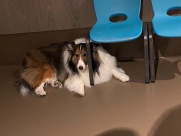 Moff animal world MARK IS みなとみらい店に投稿された画像（2021/10/4）