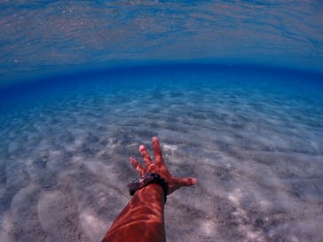 tome cruiseに投稿された画像（2021/10/4）