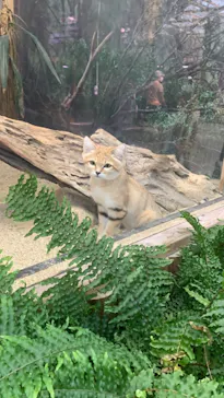 神戸どうぶつ王国に投稿された画像（2021/10/4）