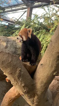 神戸どうぶつ王国に投稿された画像（2021/10/4）