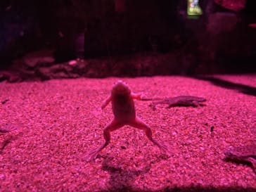 サンシャイン水族館に投稿された画像（2021/10/4）