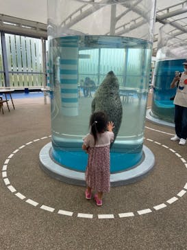 京都水族館に投稿された画像（2021/10/4）