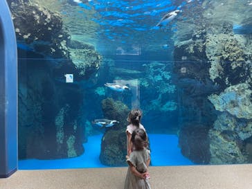 京都水族館に投稿された画像（2021/10/4）