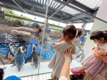 京都水族館に投稿された画像（2021/10/4）