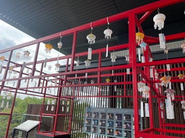 京都水族館に投稿された画像（2021/10/4）