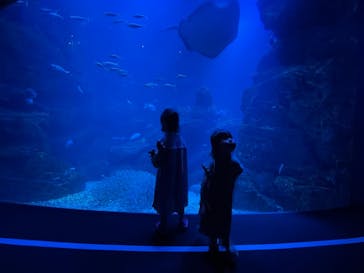 京都水族館に投稿された画像（2021/10/4）