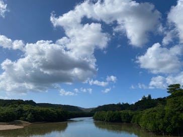 やんばる案内人Tida-Smile（ティーダスマイル）に投稿された画像（2021/10/4）