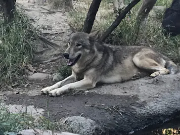 神戸どうぶつ王国に投稿された画像（2021/10/4）