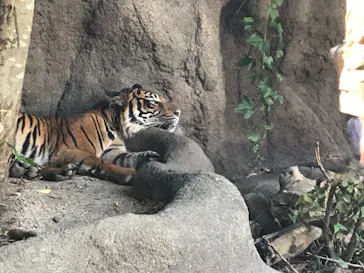 神戸どうぶつ王国に投稿された画像（2021/10/4）