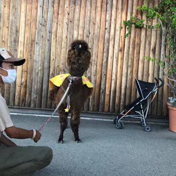 神戸どうぶつ王国に投稿された画像（2021/10/4）