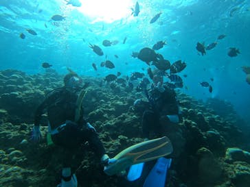 武藤潜水に投稿された画像（2021/10/5）