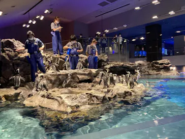 すみだ水族館に投稿された画像（2021/10/5）