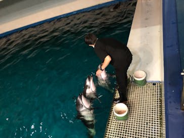 マクセル アクアパーク品川に投稿された画像（2021/10/5）