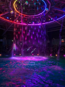 マクセル アクアパーク品川に投稿された画像（2021/10/5）