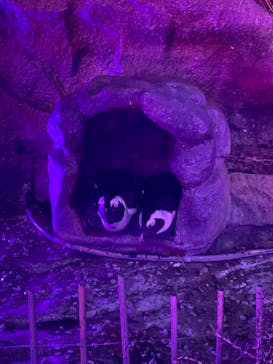 サンシャイン水族館に投稿された画像（2021/10/5）