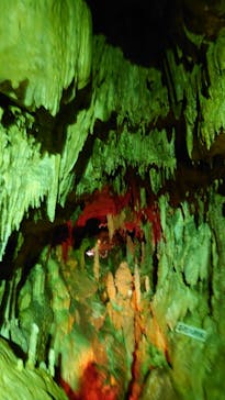 あぶくま洞に投稿された画像（2021/10/5）