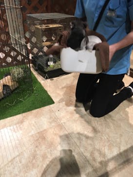 Moff animal world MARK IS みなとみらい店に投稿された画像（2021/10/5）