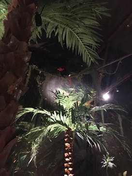 Moff animal world MARK IS みなとみらい店に投稿された画像（2021/10/5）