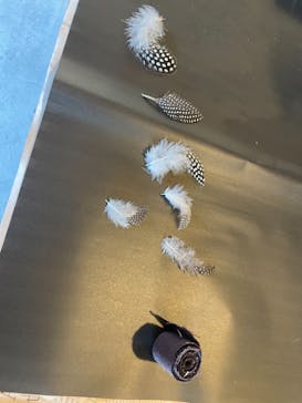 アトリエひわだやに投稿された画像（2021/10/5）