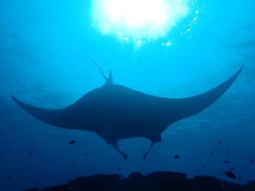 マリンショップtaitaiに投稿された画像（2021/10/5）