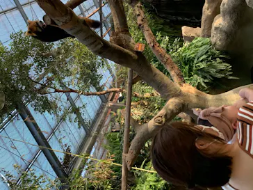 神戸どうぶつ王国に投稿された画像（2021/10/5）