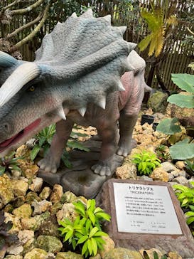 ナゴパイナップルパークに投稿された画像（2021/10/5）