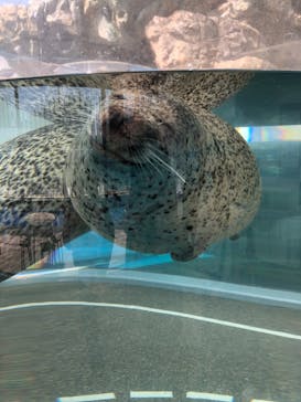 京都水族館に投稿された画像（2021/10/5）