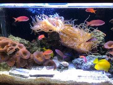 京都水族館に投稿された画像（2021/10/5）