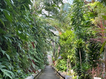 熱川バナナワニ園に投稿された画像（2021/10/5）