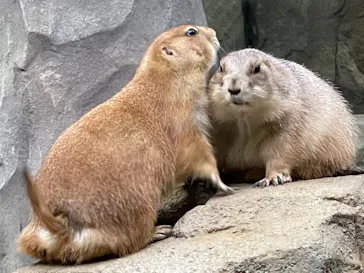 神戸どうぶつ王国に投稿された画像（2021/10/5）