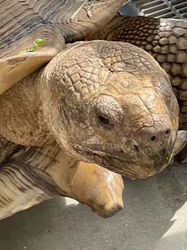 神戸どうぶつ王国に投稿された画像（2021/10/5）