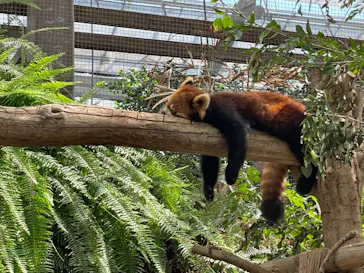 神戸どうぶつ王国に投稿された画像（2021/10/5）