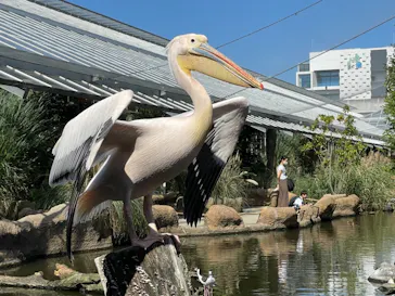 神戸どうぶつ王国に投稿された画像（2021/10/5）