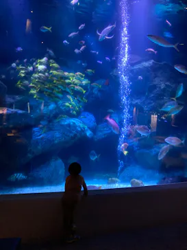 すみだ水族館に投稿された画像（2021/10/5）