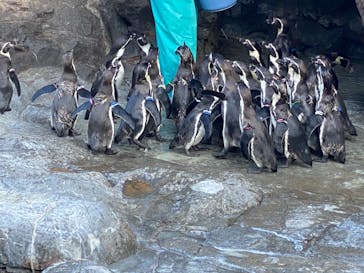 アクアワールド茨城県大洗水族館に投稿された画像（2021/10/5）