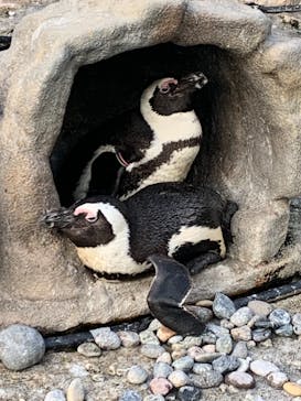 サンシャイン水族館に投稿された画像（2021/10/6）