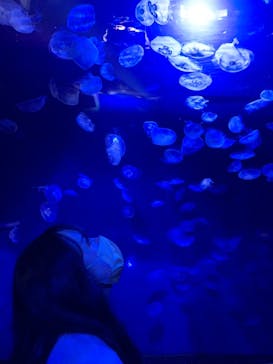 サンシャイン水族館に投稿された画像（2021/10/6）