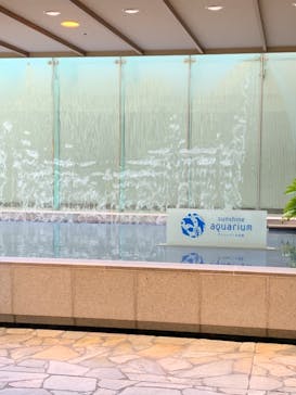 サンシャイン水族館に投稿された画像（2021/10/6）