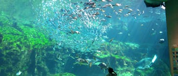 九十九島水族館海きららに投稿された画像（2021/10/6）